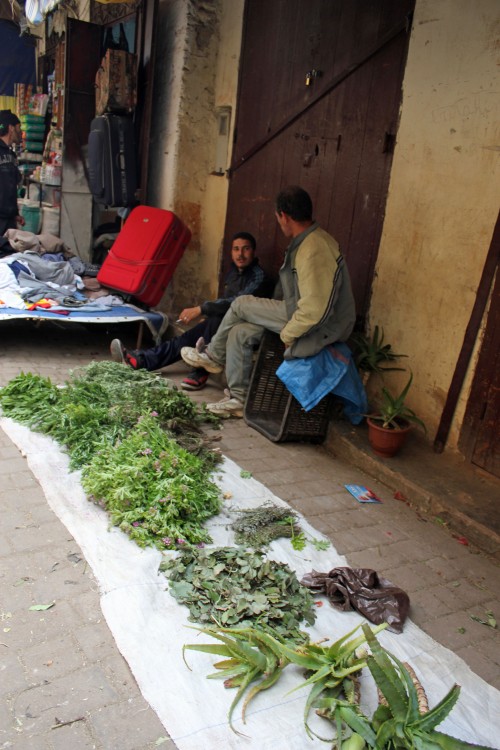 herb vendors 